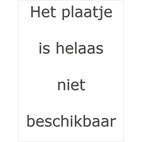 Houten hamertje tik Plantoys BPA vrij | GreenJump.nl Houten hamertje tik Plantoys BPA vrij | GreenJump.nl