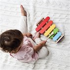 Houten baby xylofoon gekleurd muziekinstrument Plantoys