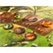 Fairtrade Spel Under The Leaves vanaf 6 Jaar Marbushka