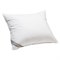 Kussen van Gerecycled Dons en Veren 50 x 60 Yumeko