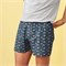 Boxershort voor mannen van biokatoen met vissen print en strepen