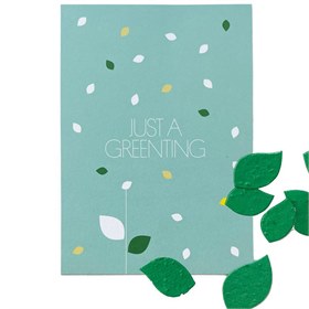 Image of Kaart met Biologisch Afbreekbare Confetti met Bloemzaadjes - Just a greenting