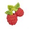 Natuurrubber Bad- en Bijtspeeltje Groente en Fruit Oli&Carol