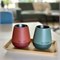 Gerecycled RVS Insulated Rise Wine Tumbler 296 ml Klean Kanteen