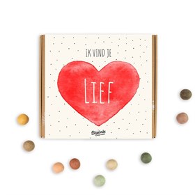 Image of Ik vind je lief - Gift Box met Bio Bloembommetjes - 9 stuks