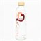 Glazen Waterfles met Eco Print 700 ml Carry Bottles