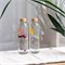 Glazen Waterfles met Eco Print 700 ml Carry Bottles