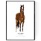 Kinderkamer paarden Poster mooie afbeelding paard