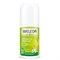 24h Roll-On Deodorant Weleda