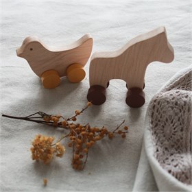 Miniset houten speelgoed figuren Pinch toys