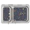 Magneten voor de PlanetBox Shuttle Bentobox PlanetBox