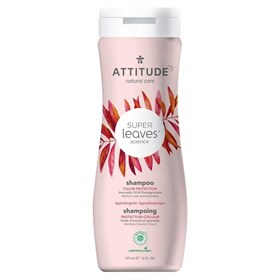 Natuulijke shampoo Colour Protection Attitude