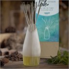 Diffuser met natuurlijke essentiele olie en geurstokjes 200 ml We Love The Planet