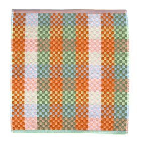 Handdoek van Katoen Restanten 50x50 cm Serie 16 Foekje Fleur