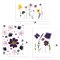 Set van 3 Ansichtkaarten met Bloemen op Gerecycled Papier A6 Felicitatie Blackbird