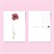 Set van 3 Ansichtkaarten met Bloemen op Gerecycled Papier A6 Beterschap Blackbird