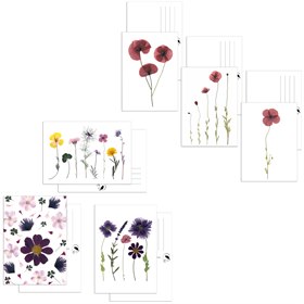 Set van 3 Ansichtkaarten met Bloemen op Gerecycled Papier A6 Blackbird