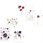 Set van 3 Ansichtkaarten met Bloemen op Gerecycled Papier A6 Blackbird