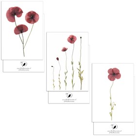 Set van 3 Dubbele Kaarten met Bloemen op Gerecycled Papier A6 Beterschap Blackbird
