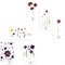 Set van 3 Dubbele Kaarten met Bloemen op Gerecycled Papier A6 Blackbird