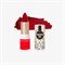 Matte Lippenstift Passion Red Charlotte Bio