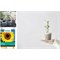 Wool Pots Biologisch Afbreekbaar Plantenpotje met Basilicum en Bieslook zaadjes