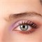 Biologische Oogschaduw Palet 4 Kleuren Luxury Charlotte Bio
