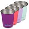 Gekleurde RVS Pint Cup Beker 296 ml Set van 4 Klean Kanteen