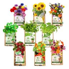 Hangtuintje Kruiden en Bloemen in Zak van Gerecycled Theezakken SuperWaste