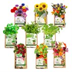 Hangtuintje Kruiden en Bloemen in Zak van Gerecycled Theezakken SuperWaste