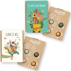 Blossombs Bio Cadeautje Mini Goftbox met 4 Bloembommetjes Blossombs