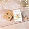 Mini brievenbus cadeau met 4 bloemenzaad Blossombs Bio 
