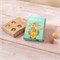 Blossombs Bio Cadeautje Mini Goftbox met 4 Bloembommetjes Blossombs