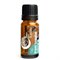 Biologische Etherische Olie 10 ml Eucalyptus Terra Gaia