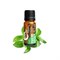 Biologische Etherische Olie 10 ml Peppermint Terra Gaia