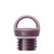 RVS Thermosfles Lekdicht met Arch Loop Cap - Rise Classic 590 ml Klean Kanteen