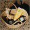 Minerale zonnebrand voor Baby's en Kinderen 100 ml Factor 30 Petit & Jolie