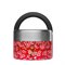 Food Jar Thermos Lekdicht met Handvat 650 ml Flowers Red Qwetch