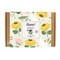 Gift Box Small met 7 Bio Zaadbommetjes Zonnebloemen Blossombs