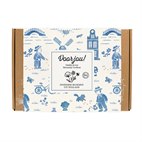 Gift Box Small met 7 Bio Zaadbommetjes Inheemse bloemen Blossombs