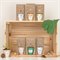 Grow Kit met 6 Bio Zaadbommetjes Blossombs