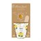 Grow Kit met 6 Bio Zaadbommetjes Zonnebloemen Blossombs