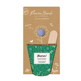 Grow Kit met 6 Bio Zaadbommetjes Laagblijvende potbloemen Blossombs