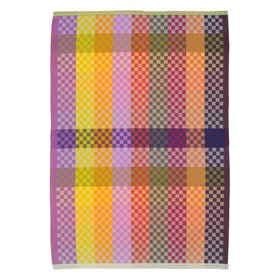 Theedoek van Katoen Restanten Checkered Check 50x70 cm Foekje Fleur