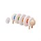 Houten Rijg en Leer Schaap Plantoys