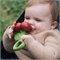 Natuurrubber Bijtspeeltje en Rammelaar Fruit Cherry Oli&Carol