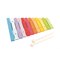 Gekleurde Xylofoon van Hout Bigjigs