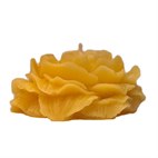 Bijenwaskaars Pioenroos De Muisjes