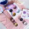 Biologische Kinderschmink set met 4 Kleuren op Waterbasis Butterfly Namaki