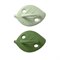 Fopspeen van natuurrubber met bladvormig schild in de kleur Greens van Oli&Carol